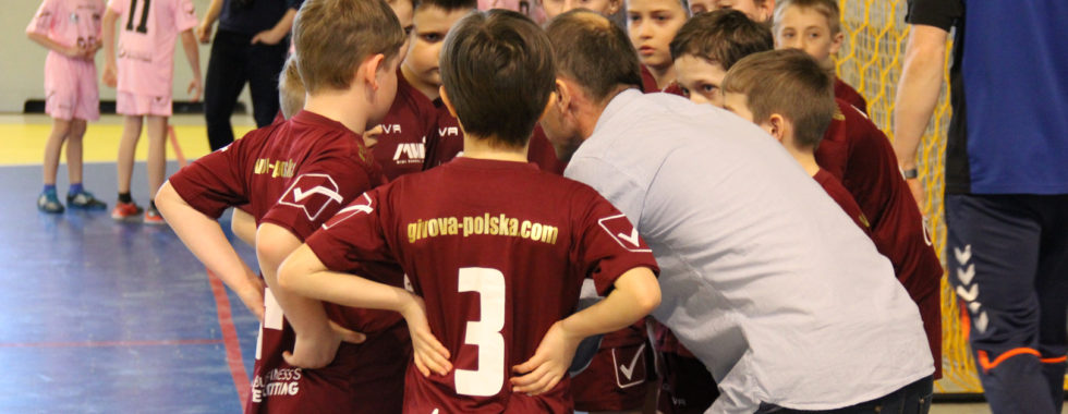 mini handball liga 2017