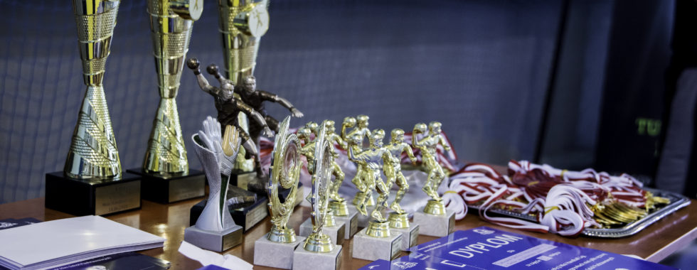 Mini Handball Liga Camp 2018